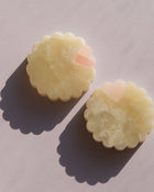 Branik Tête-à-Tête