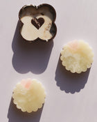 Branik Tête-à-Tête