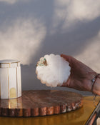 Branik Tête-à-Tête